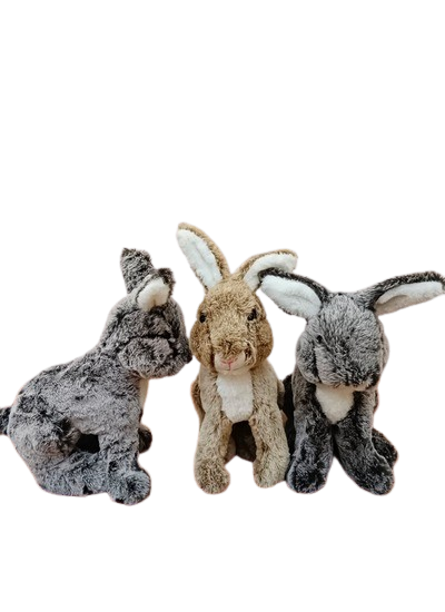 Korean-Furr-Black-colored-Kangroo-Teddy-near-U